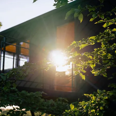 Oak - K1 Baumhaus Odenthal