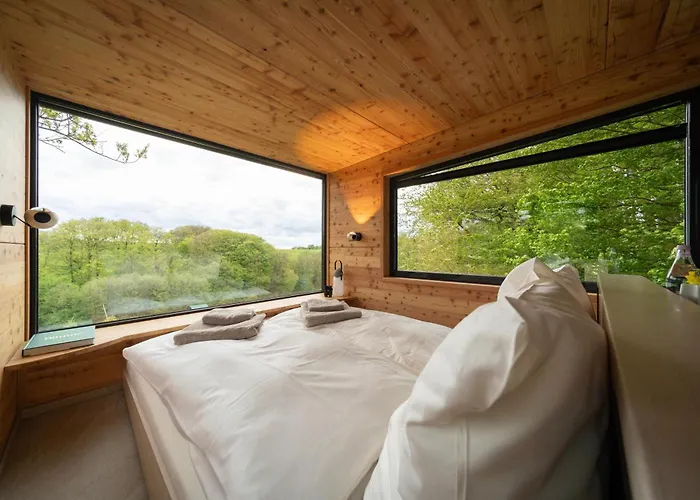 Oak - K1 Baumhaus * Odenthal