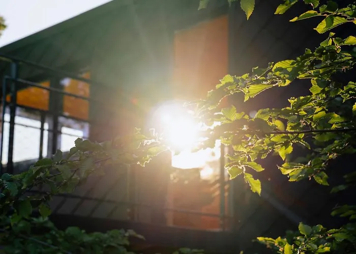 Oak - K1 Baumhaus Odenthal