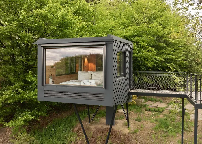 Oak - K1 Baumhaus Odenthal